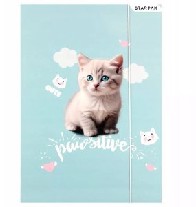 TECZKA Z GUMKA PAP A4 KITTY STK FOL10/100 4