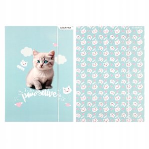 TECZKA Z GUMKA PAP A4 KITTY STK FOL10/100 5