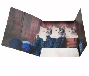 TECZKA Z GUMKA PAP A4 KOTKI STK FOL10/100 2