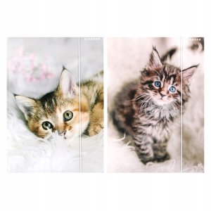 TECZKA Z GUMKA PAP A4 KOTKI STK FOL10/100 5