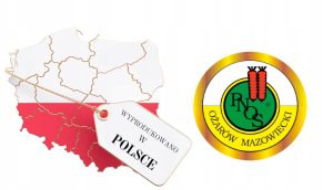 Seklos LT PNOS Nasiona warzyw | Fasola Na Suche Nasiona Igłomska | Opakowanie 50g 11