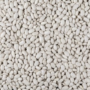 Seklos LT PNOS Nasiona warzyw | Fasola Na Suche Nasiona Igłomska | Opakowanie 50g 8