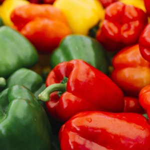 PNOS Mieszanka nasion | Papryka Słodka | Opakowanie 0,6g 5