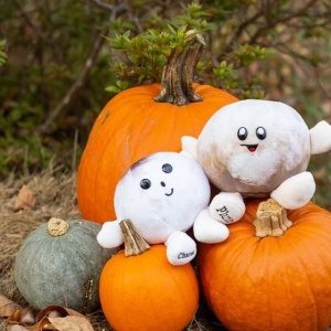 CB012 PLUSZOWE PLANETY KSIĘŻYC I PLUTON 2