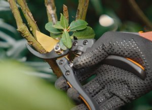 Sekator Bradas V-SERIES nożycowy 5