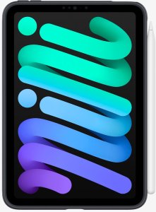 Spigen Nano Pop, black sesame - iPad mini 2024/6 6