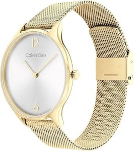 Zegarek Damski CALVIN KLEIN Timeless Mesh 25200003 + BOX 2