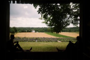 Dworzysk - Czekoladowa Pogoda - Herbata sypana 120g 7