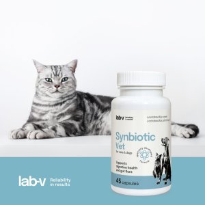 LAB V LAB-V Synbiotic Vet Wsparcie zdrowia układu pokarmowego i mikroflory jelitowej dla psów i kotów 45 kapsułek 2