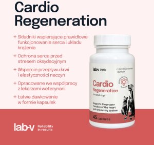 LAB V LAB-V Cardio Regeneration  Wsparcie prawidłowego funkcjonowania pracy serca i układu krążenia dla psów i kotów 45 kapsułek 3