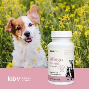 LAB V LAB-V Allerga Control Wsparcie przy objawach alergii 45 kapsułek 2