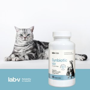 LAB V LAB-V Synbiotic Vet Wsparcie zdrowia układu pokarmowego i mikroflory jelitowej dla psów i kotów 90 kapsułek 2