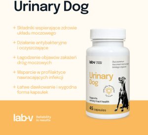 LAB-V Urinary Dog  Wsparcie przy zakażeniu dróg moczowych u psów 45 kapsułek 1