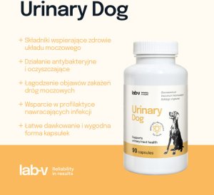 LAB V LAB-V Urinary Dog Wsparcie przy zakażeniu dróg moczowych u psów 90 kapsułek 3