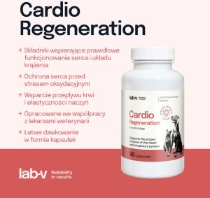 LAB V LAB-V Cardio Regeneration  Wsparcie prawidłowego funkcjonowania pracy serca i układu krążenia dla psów i kotów 90 kapsułek 2