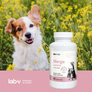 LAB-V Allerga Control  Wsparcie przy objawach alergii 90 kapsułek 1