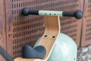 Early Rider balansinis dviratukas Bella Velio, 00-24 men., pistacijų žalias 9