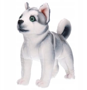 Maskotka pies Z10166 80640 4