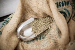 Kawa ZIARNISTA PERU CAJAMARCA 100%Arabica specialty 340g Kawa Świeżo Palona 5