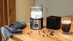 Spieniacz do mleka Teesa Stalowy 15