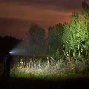 Olight Perun 2 Headlamp 9