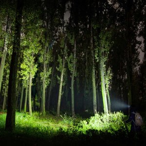 Olight Perun 2 Headlamp 10