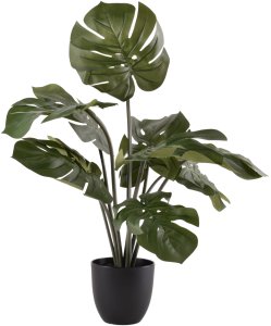 Direct Home and Garden Monstera sztuczna 50cm 2