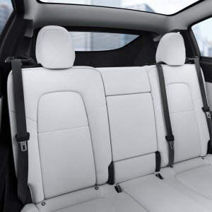 Spigen Tesla Backseat Seatbelt Holder, black -  Tesla Model Y 9