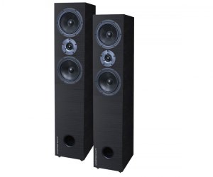 Acoustique Quality LABRADOR 38 Audiofilska kolumna podłogowa, dwudrożna konstrukcja o mocy 220W 1