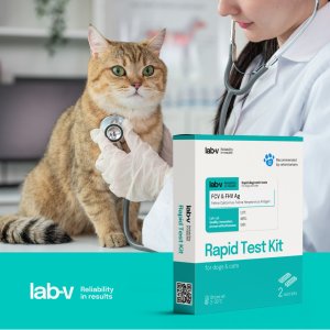 Lab-V Antygen FCV & FHV  Szybki test diagnostyczny dla kotów 2 szt. 3