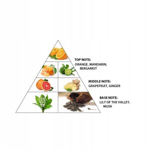 Al Haramain AL HARAMAIN Iris Extrait de Parfum spray 100ml 2