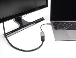 Adapter AV Delock Delock - Highspeed - Videoadapter - 24 pin USB-C mannlich zu HDMI weiblich - 15 cm - Grau/Schwarz - unterstutzt 4K 60 Hz (4096 x 2160), HDR-Support, DP Alt Modus-Support 2