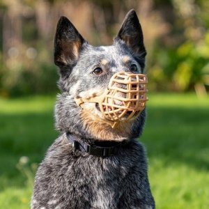 Baskerville BASKERVILLE KAGANIEC CLASSIC 10 BEŻOWY dł. 9cm obwód 36cm 7