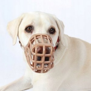 Baskerville BASKERVILLE KAGANIEC CLASSIC 10 BEŻOWY dł. 9cm obwód 36cm 8