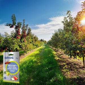 BROS - Miedzian 50WP 15g 5