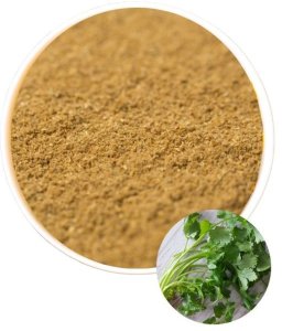 Kolendra mielona w proszku przyprawa do hummus 150g 1