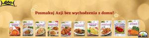 Przyprawa w proszku azjatycka do skrzydełek pikantna marynata spicy wings lobo 50g 2