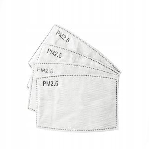10x FILTR HEPA PM 2.5 WĘGIEL do MASECZEK 10 sztuk 1