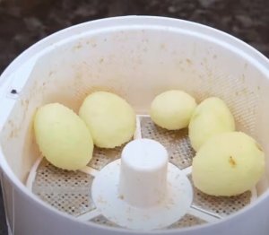 AUTOMATYCZNA Obieraczka ZIEMNIAKÓW WARZYW OWOCÓW 13