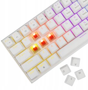 White Shark Wakizashi-2 white US red switch 4