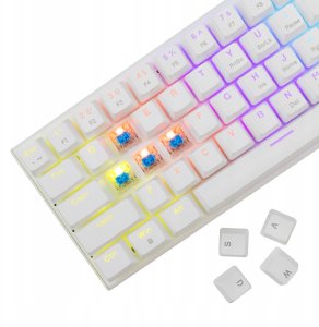 White Shark Wakizashi-2 white US blue switch 3