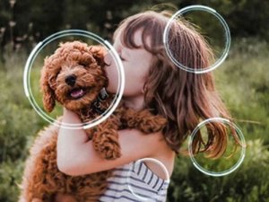 Telewizor Samsung QE55QN80F QLED 55'' 4K Ultra HD Tizen 10