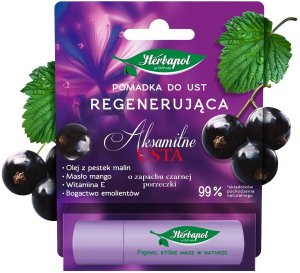HERBAPOL Aksamitne Usta Pomadka regenerująca do ust - Czarna Porzeczka 4.9 g 1