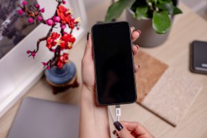 Kabel USB Techly USB-C - USB-C 2 m Biały (NL4442) 11