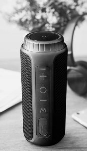 MOEVI GŁOŚNIK BT 15