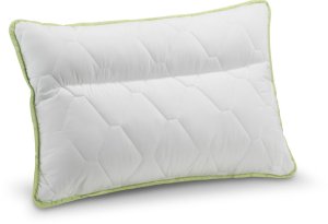 Pillow DORMEO ALOE VERA CLASSIC, 50 x 70 cm, 100% polyester 2