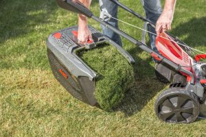 Petrol lawn mower AL-KO Premium 524 VS-B, 2300 W, 150 cm3, 51 cm, 70 l, self-propelled, B&S 625EXI 4