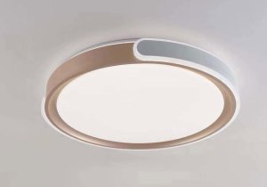 Ceiling LED lamp BALTIK GAISMA, 96W, 3000-6500K, 7488lm, white/gold, dim, o50cm, with remote control 1