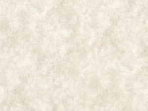 WALLPAPER B118 8690-01 I 01 2023 1