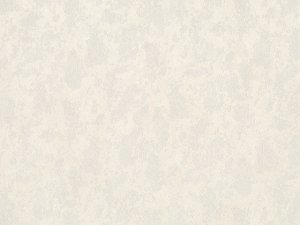 WALLPAPER B118 8691-05 I 01 2025 1